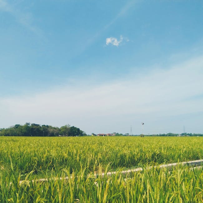 Agriculture Industry Industrial Automation and Electronics Repair Services